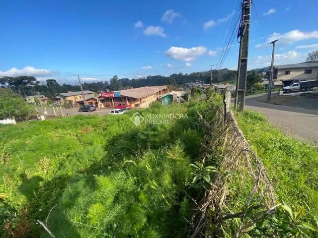 Terreno venda em Região Geográfica Imediata de Caxias do Sul, São Francisco de Paula