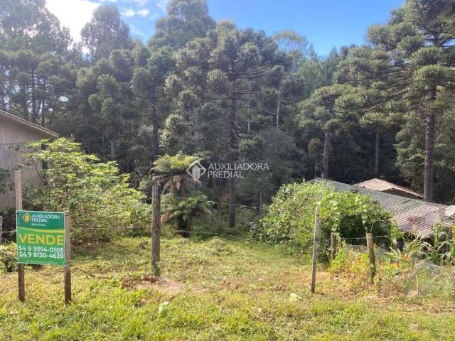 Terreno venda em Região Geográfica Imediata de Caxias do Sul, São Francisco de Paula