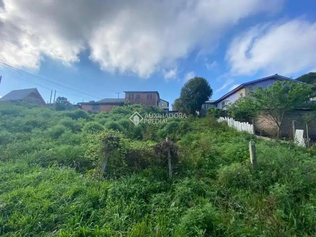 Terreno venda em Região Geográfica Imediata de Caxias do Sul, São Francisco de Paula