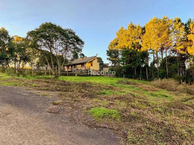 Terreno venda em Região Geográfica Imediata de Caxias do Sul, São Francisco de Paula