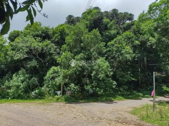 Terreno venda em Região Geográfica Imediata de Caxias do Sul, São Francisco de Paula