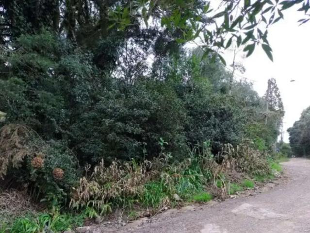 Terreno venda em Região Geográfica Imediata de Caxias do Sul, São Francisco de Paula