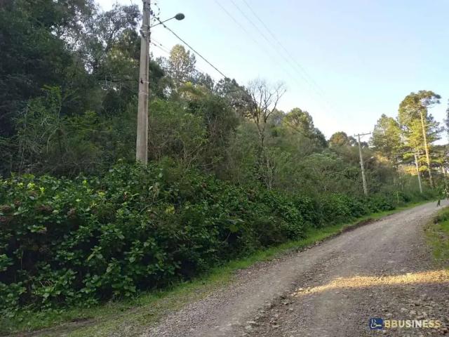 Terreno venda em Região Geográfica Imediata de Caxias do Sul, São Francisco de Paula