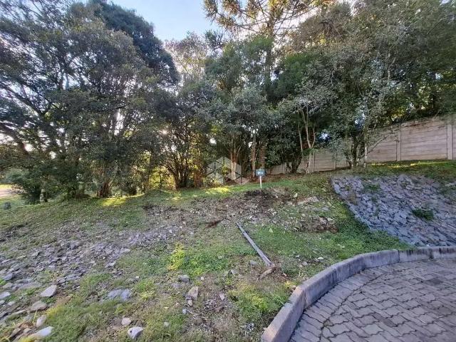 Terreno venda em Região Geográfica Imediata de Caxias do Sul, São Francisco de Paula