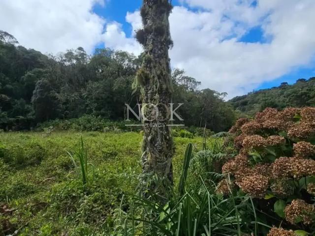 Terreno venda em São Francisco de Paula, Região Geográfica Intermediária de Caxias do Sul