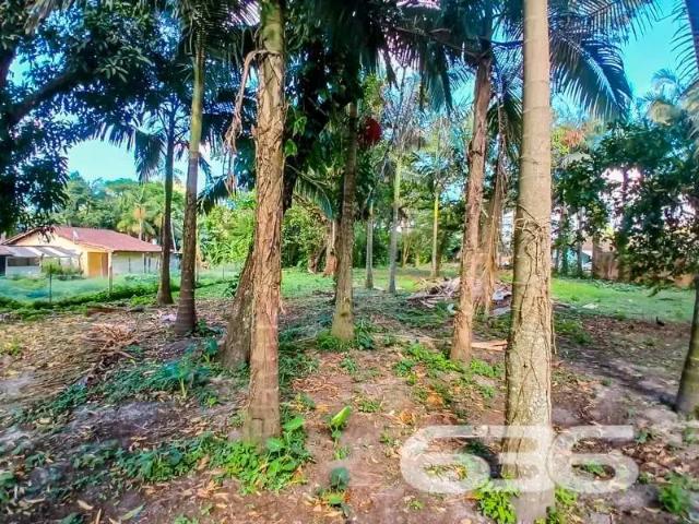Terreno venda em Região Geográfica Imediata de Joinville, São Francisco do Sul