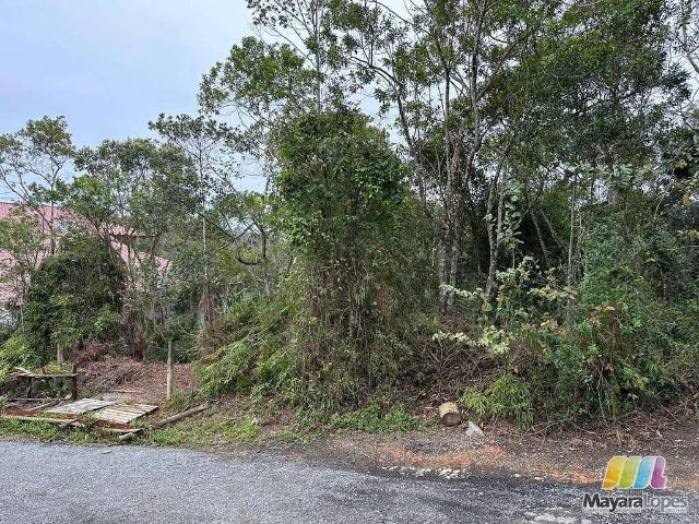 Terreno venda em Região Geográfica Imediata de Joinville, São Francisco do Sul
