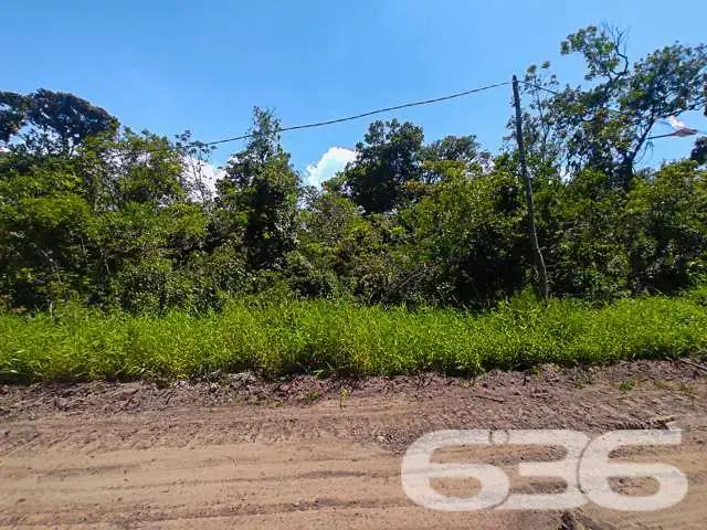 Terreno venda em Região Geográfica Imediata de Joinville, São Francisco do Sul