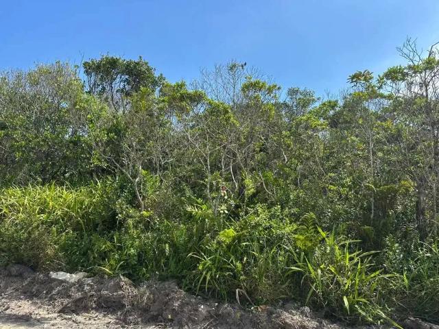 Terreno venda em Região Geográfica Imediata de Joinville, São Francisco do Sul
