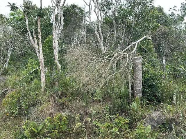 Terreno venda em Região Geográfica Imediata de Joinville, São Francisco do Sul