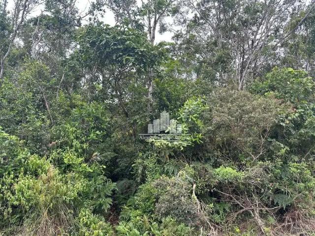 Terreno venda em Região Geográfica Imediata de Joinville, São Francisco do Sul