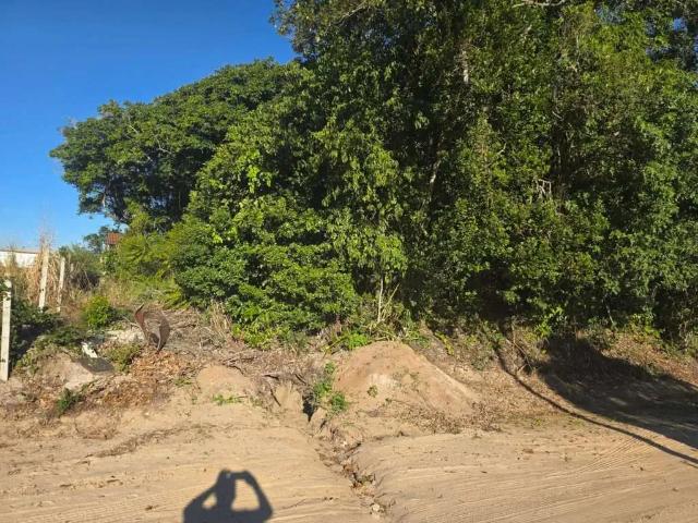 Terreno venda em Região Geográfica Imediata de Joinville, São Francisco do Sul