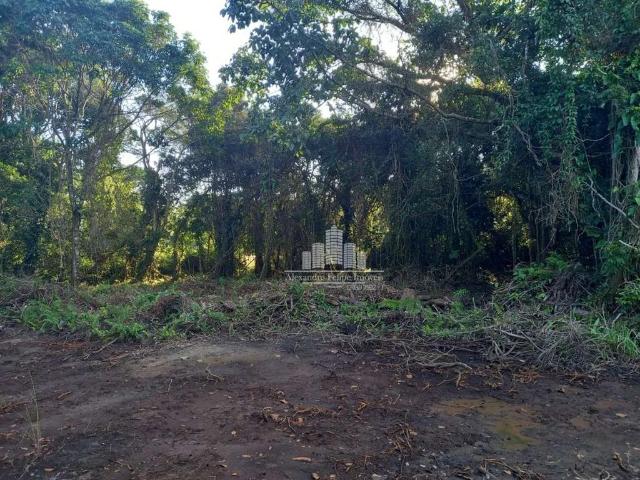 Terreno venda em São Francisco do Sul, Região Geográfica Intermediária de Joinville
