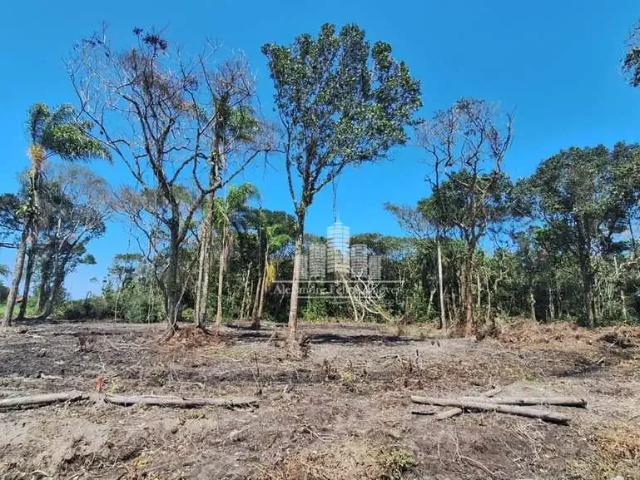 Terreno venda em Região Geográfica Imediata de Joinville, São Francisco do Sul