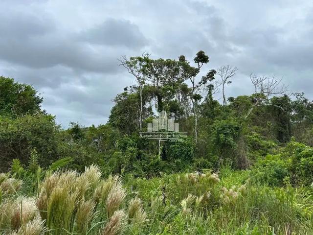 Terreno venda em Região Geográfica Imediata de Joinville, São Francisco do Sul