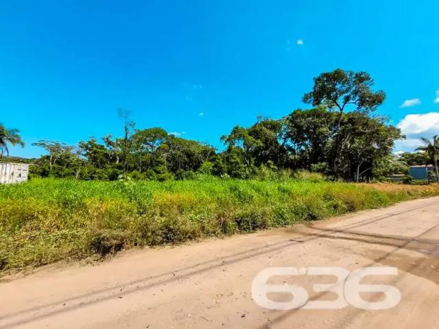 Terreno venda em Região Geográfica Imediata de Joinville, São Francisco do Sul