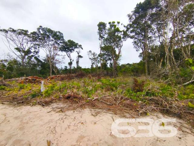 Terreno venda em Praia do Ervino, São Francisco do Sul