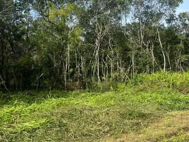Terreno venda em Região Geográfica Imediata de Joinville, São Francisco do Sul