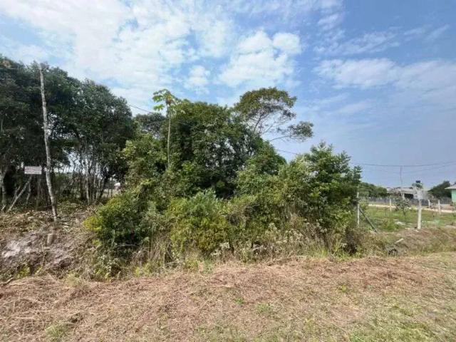 Terreno venda em Região Geográfica Imediata de Joinville, São Francisco do Sul