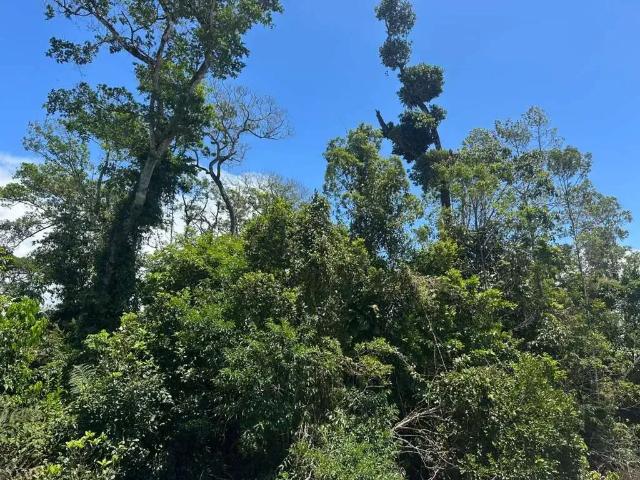 Terreno venda em Região Geográfica Imediata de Joinville, São Francisco do Sul