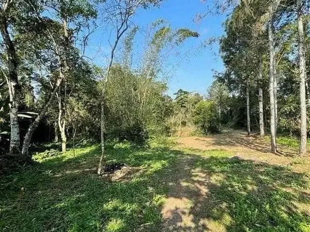 Terreno venda em Região Geográfica Imediata de Joinville, São Francisco do Sul