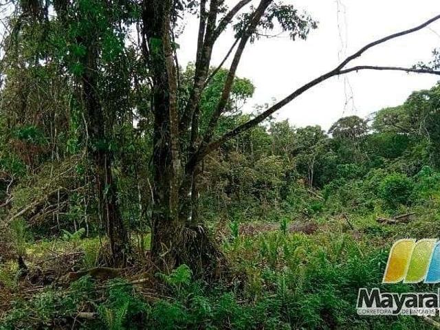Terreno venda em Região Geográfica Imediata de Joinville, São Francisco do Sul