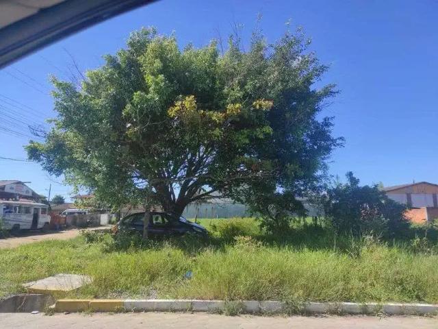 Terreno venda em Região Geográfica Imediata de Joinville, São Francisco do Sul