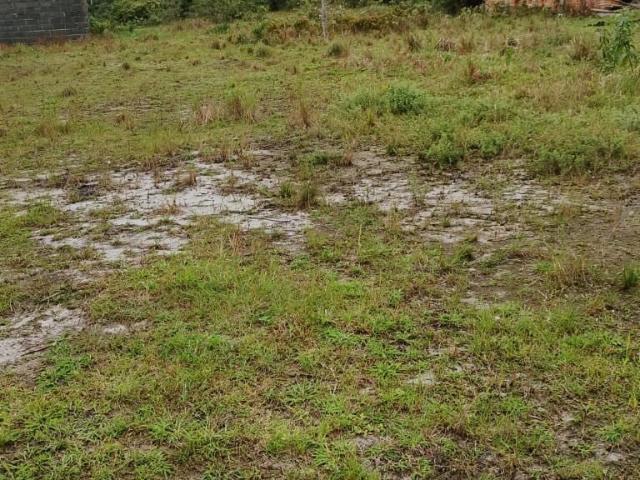 Terreno venda em Vila da Glória, São Francisco do Sul