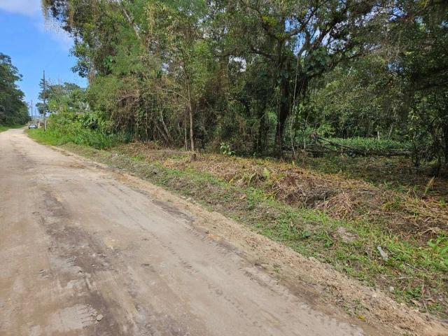 Terreno venda em Rocio Grande, São Francisco do Sul