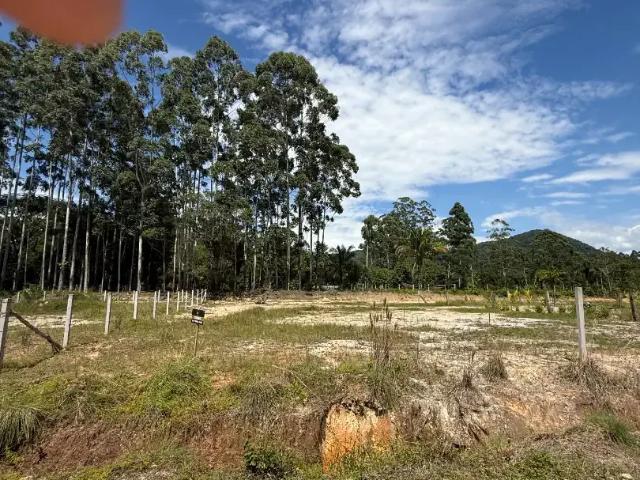 Terreno venda em Região Geográfica Imediata de Joinville, São Francisco do Sul