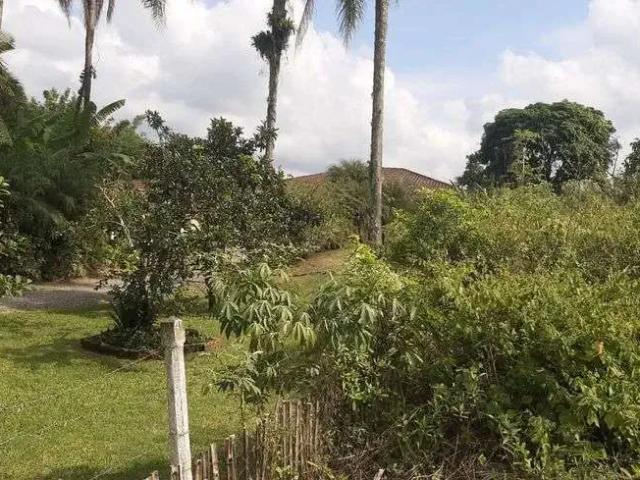 Terreno venda em Região Geográfica Imediata de Joinville, São Francisco do Sul