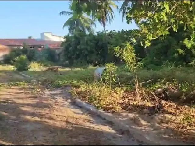 Terreno venda em Região Geográfica Imediata de Fortaleza, Croatá