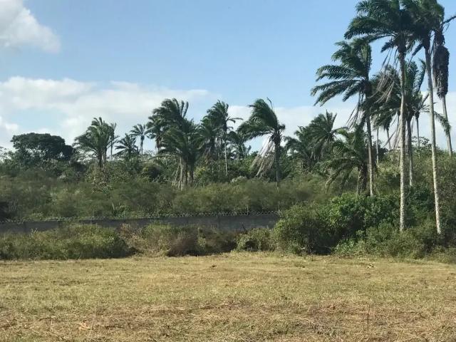 Terreno venda em Região Geográfica Imediata de Feira de Santana, Região Metropolitana de Feira de Santana
