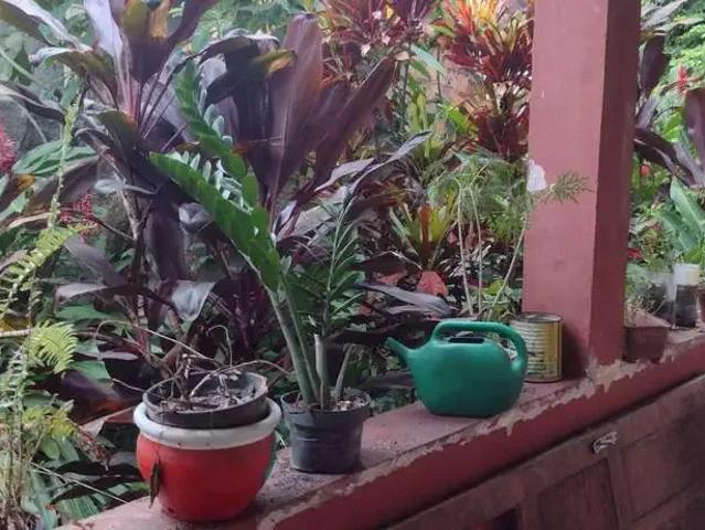 Terreno venda em Região Geográfica Imediata do Rio de Janeiro, Região Metropolitana do Rio de Janeiro