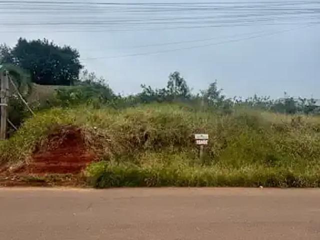 Terreno venda em São Jerônimo