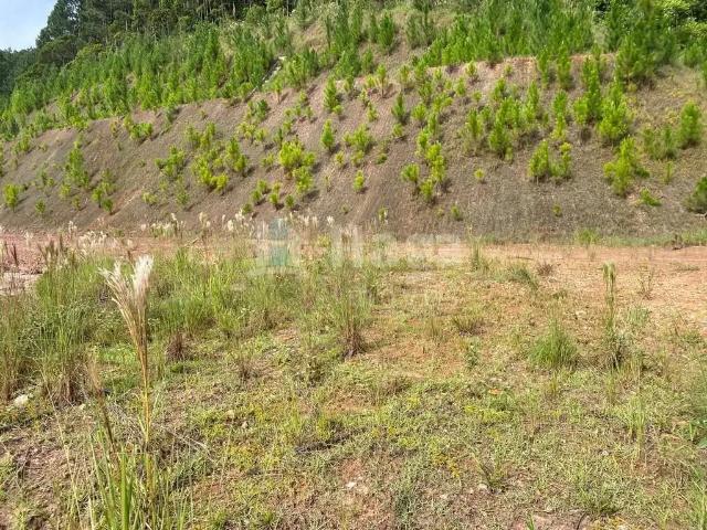 Terreno venda em Região Geográfica Imediata de Brusque, São João Batista