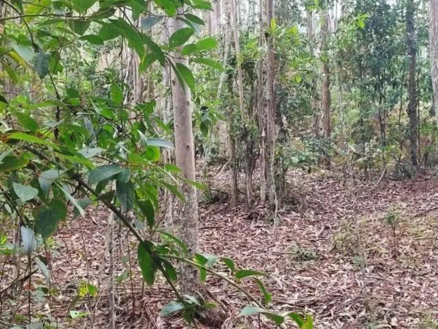 Terreno venda em Região Geográfica Imediata de Brusque, São João Batista