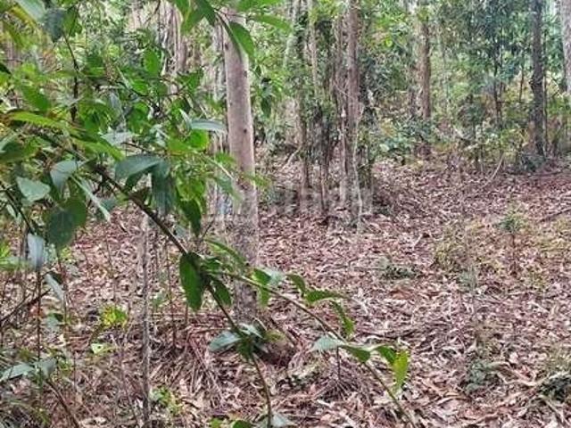 Terreno venda em São João Batista, Tijipió