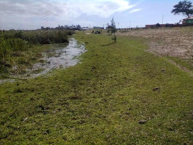 Terreno venda em Região Geográfica Imediata de Campos dos Goytacazes, São João da Barra