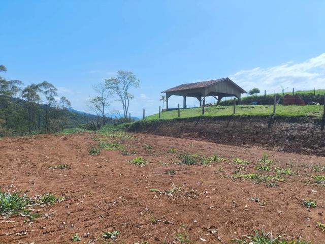 Terreno venda em Santa Cruz, São João do Itaperiú
