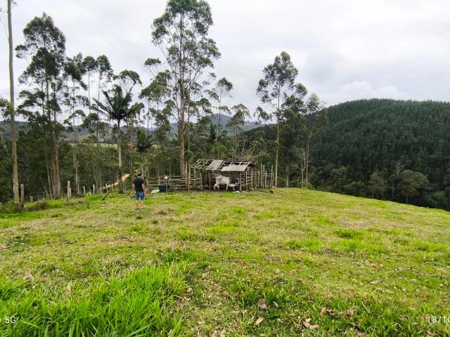 Terreno venda em Santa Cruz, São João do Itaperiú