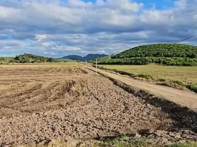 Terreno venda em Região Geográfica Imediata de Joinville, São João do Itaperiu