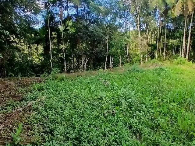 Terreno venda em Região Geográfica Imediata de Joinville, São João do Itaperiu