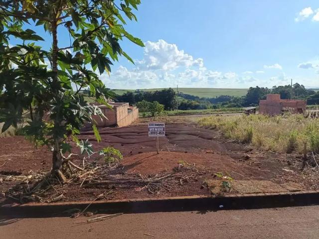Terreno venda em Região Geográfica Imediata de Ivaiporã, São João do Ivaí
