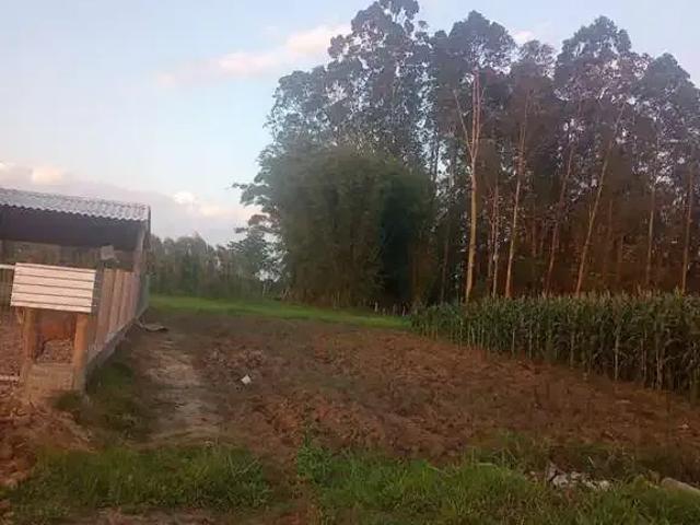Terreno venda em Região Geográfica Imediata de Araranguá, São João do Sul