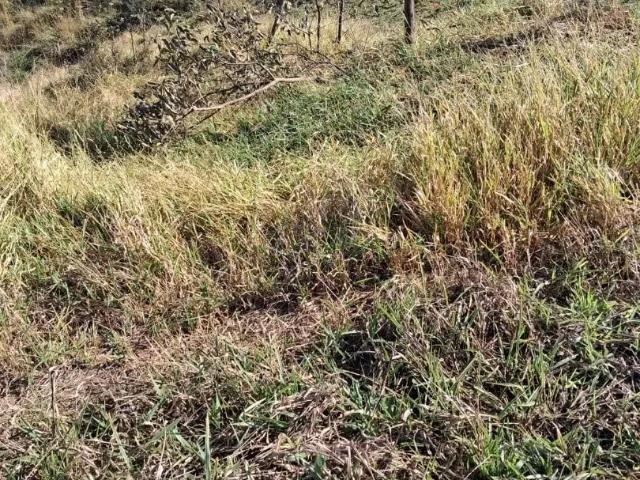Terreno venda em Região Geográfica Imediata de Belo Horizonte, Região Metropolitana de Belo Horizonte