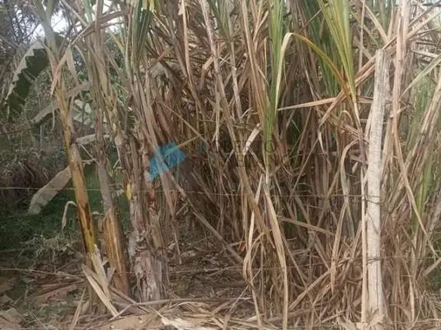 Terreno venda em Região Geográfica Imediata de Belo Horizonte, Região Metropolitana de Belo Horizonte