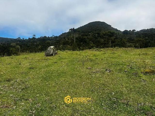 Terreno venda em Região Geográfica Imediata de Lages, Rio Rufino