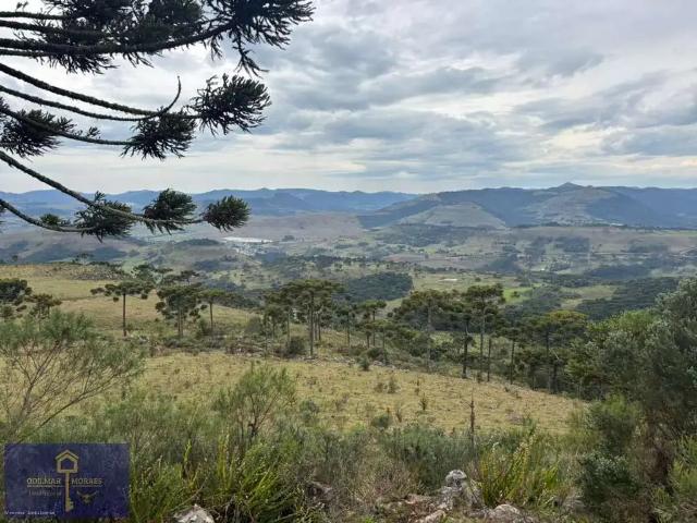 Terreno venda em Região Geográfica Imediata de Lages, São Joaquim