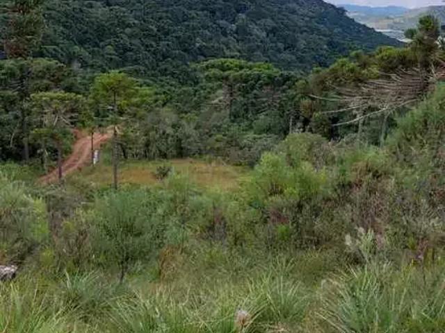 Terreno venda em Região Geográfica Imediata de Lages, São Joaquim